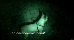 The Ghosthunter jaagt al twintig jaar op Nederlandse geesten, en maakt daar video’s van