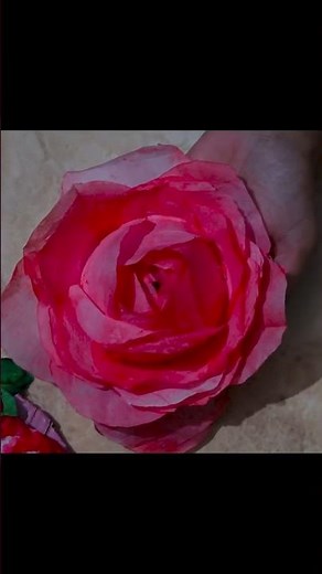 🌹 DIY Tissue Paper Rose | Easy & Beautiful Paper Flower Craft | Step-by-Step Tutorial