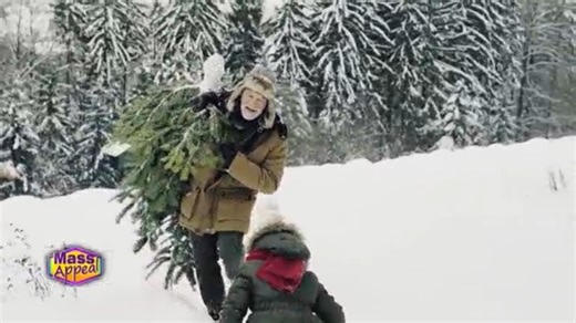 Preventing your Christmas tree from bringing in unwanted pests