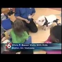 Viral video: WPSD Local 6 anchor cracks up during broadcast at Chris P. Bacon the pig