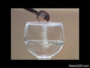 salt dissolving in water on Make a GIF
