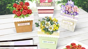 233 reactions · 24 shares | Create unique 3D Flower Pots with this special card-making kit - Featuring stunning floral decoupage arrangements, pre-cut & scored flower pot-shaped cards and a variety of gold foiled and die-cut sentiments. | Katy Sue Designs Crafts | Facebook