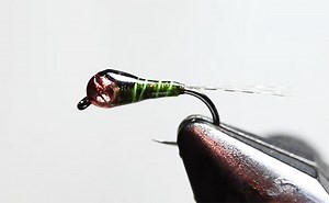 Video: How to Tie the Pliva Perdigon Nymph - Orvis News