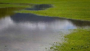 Neighbor Draining Pool in My Yard (Doing This Stopped Them!)