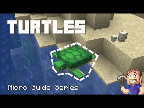 Turtles - Minecraft Micro Guide