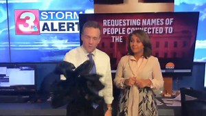 4.3K views | It's a bit windy out there this morning, but John Martin and Sami Kincaid have you covered on today's top stories. | Local 3 News | Facebook