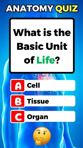 What is the basic unit of life? human body facts