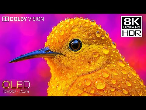 OLED TEST HDR 8K 120FPS DOLBY VISION | 4K/8K Monitor Test Video (2025)