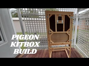 Kitbox - Birmingham Roller Pigeons