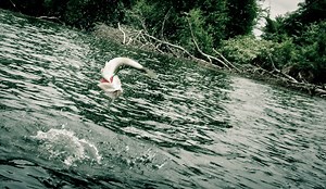 Fly Fishing Tactics for Bass in the Fall - Fly Fishing | Gink and Gasoline | How to Fly Fish | Trout Fishing | Fly Tying | Fly Fishing Blog