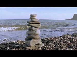 The Rise of Sustainability