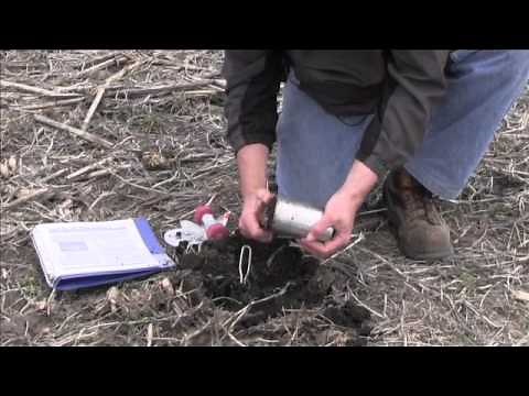 Measuring Bulk Density