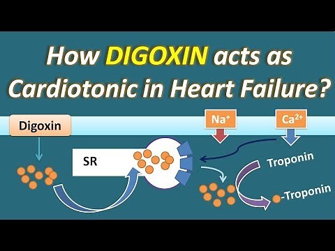 How Digoxin acts as Cardiotonic in Heart Failure?