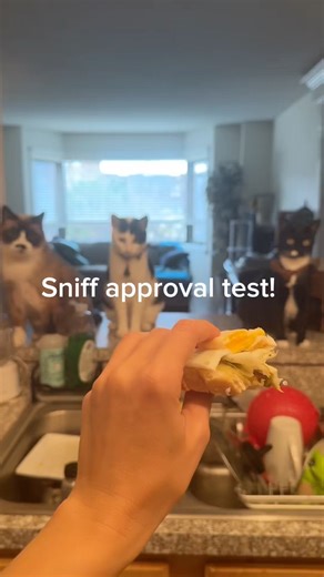 Sniff approval test