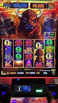 Day 27: Betting $1 Million to WIN $1 Million 🦬 Off we go!! #casino #slot #bonus #jackpot