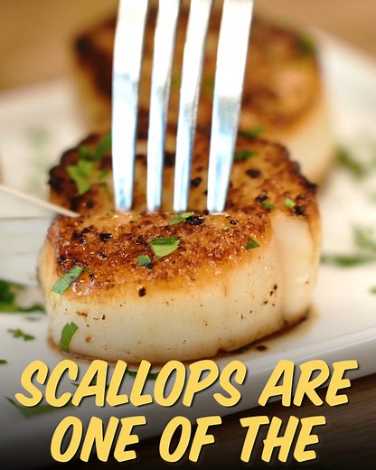 580K views · 6K reactions | Juicy, briny sea scallops are one of our favorite quick-fix suppers. Let Nicole show you how to make the best sea scallops of your life. LEARN MORE: https://armagazine.com/2Q6hpLB | Allrecipes | Facebook