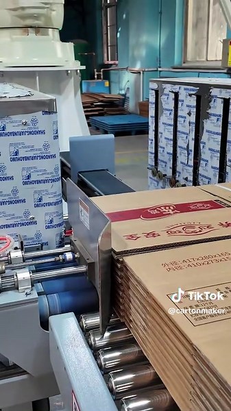 Efficient Robot Palletizer System for Casemakers