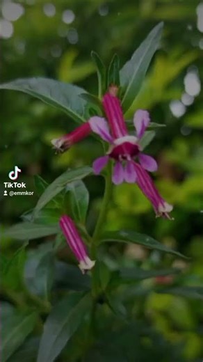 Random snaps of the week