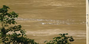 New FEMA flood map lowers flood risk for many Bellevue homeowners