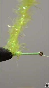 Tying the Pyramid Beetle | Terrestrial Pattern + Wild Pyramid Lake Fun Fact