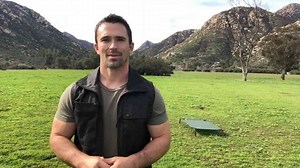 Why clicker and marker training are changing modern obedience work