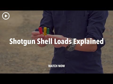 Shotgun Shell Loads Explained | Shotgun 101 with Top Shot Chris Cheng