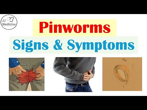 Pinworm Infections Signs & Symptoms (& Why They Occur)