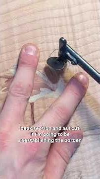 Making fine lines in marquetry is a lot easier than you think #woodworking #marquetry