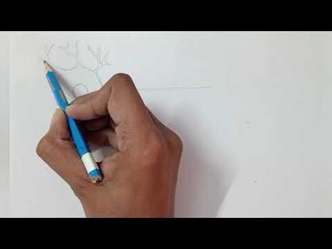 Neuron Labelled Diagram : How To Draw A Nerve Cell Step By Step