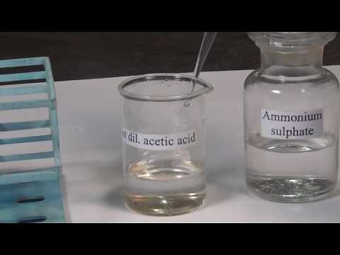 Tests for Strontium Ion - MeitY OLabs