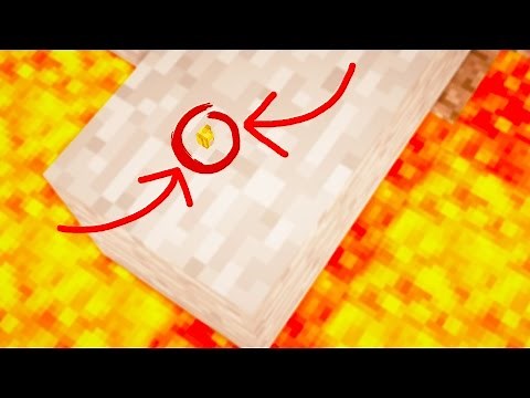 WORLD'S SMALLEST MINECRAFT HOUSE!