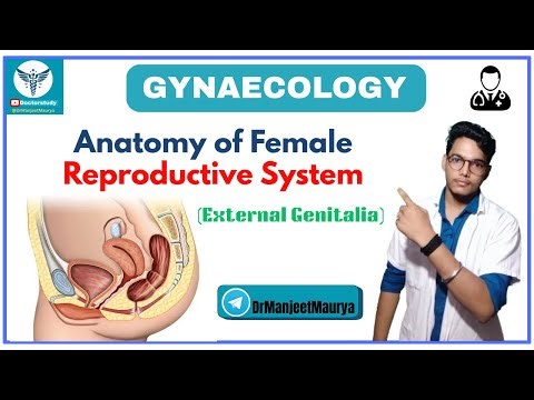 Anatomy of Female Reproductive System | External Genitalia | Vulva, Labia, Clitoris | Functions