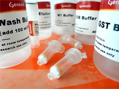 Genomic DNA Extraction Kit Whole Blood