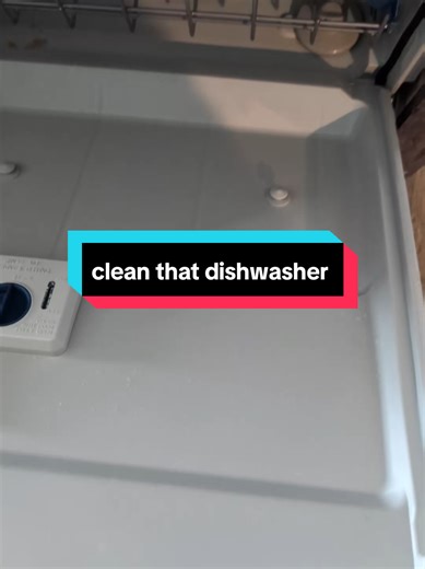 get rid of dirty dishwasher smells and scale buildup and clean the inside of your dishwasher with these tablets by Active. @USEACTIVE