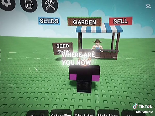 Goodbye Sam: A Roblox Journey