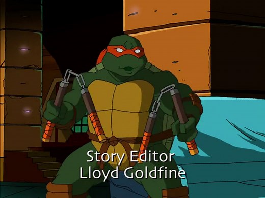 Teenage Mutant Ninja Turtles (2003): The Complete Series - Remastered in 1080p (Continued)