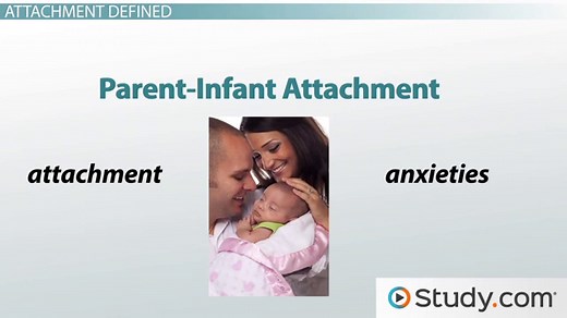 Bowlby's Infant Attachment Theory | Stages, Timeline & Critiques