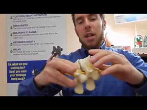 Teeter Inversion Table Overview