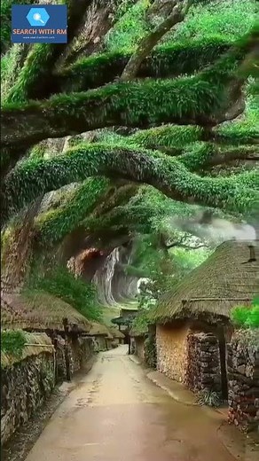 Amazing nature video clear your mind |nature short video |beautiful scene of nature video | #shorts