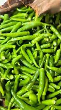 How We Preserve local Chilies for the Whole Year #viralshorts