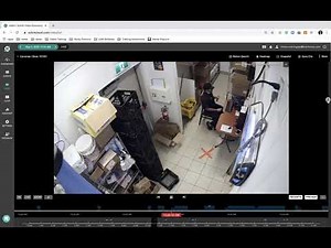 How do I View Multiple Cameras at the Same Time