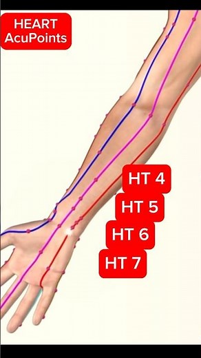 The Heart Meridian Acupuncture Points #acupuncture
