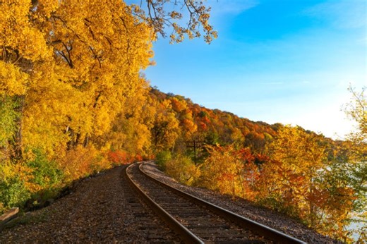 Fall foliage 2025: Where to expect the best color