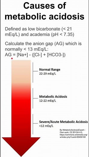 Causes of metabolic acidosis