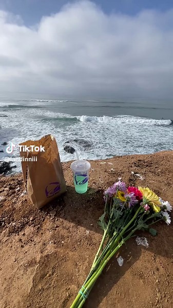 Discover Taco Bell's Delicious New Bowl Options