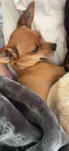 Idc tho cuz I love this dress 😜 #yourmom | dress