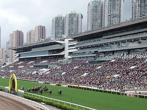 Hong Kong Races Live Streamed On Racing and Sports