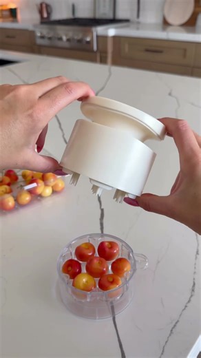 Cherry Pitter Tool