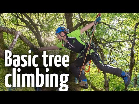 Simple & safe tree climbing ascent technique