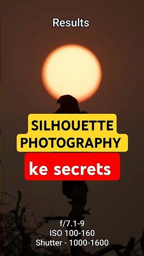 Silhouette Photography Magic: Create Breathtaking Silhouettes!